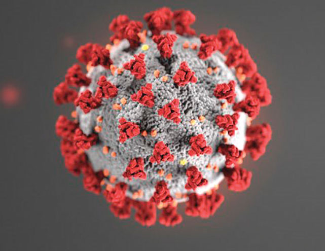 UCL-UC-Coronavirus-C